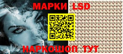 гидропоника Добрянка