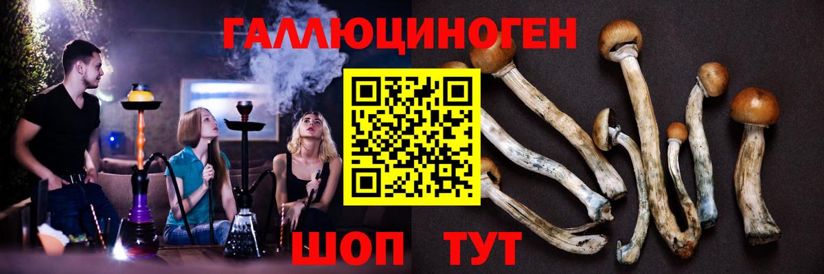 Псилоцибиновые грибы MAGIC MUSHROOMS Отрадный